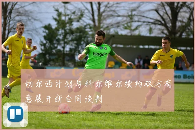 切尔西计划与科尔维尔续约双方有意展开新合同谈判